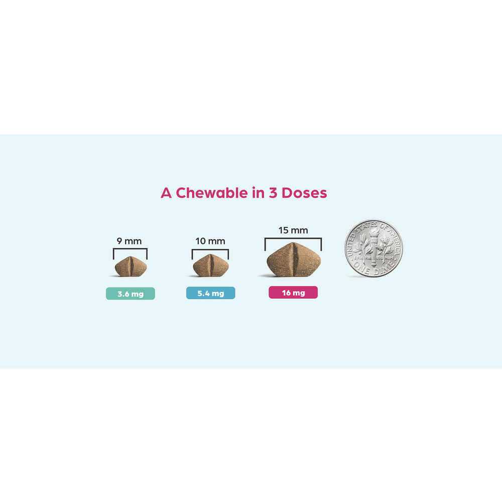 Apoquel Chewable for Dogs - Healthber