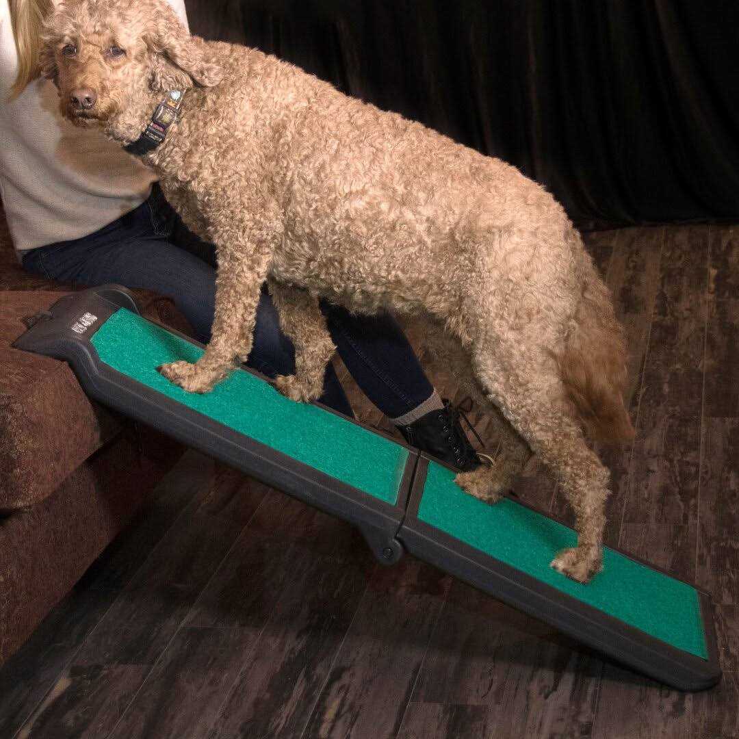 Pet Gear Bi-Fold Travel Lite Ramp with supertraX - Healthber