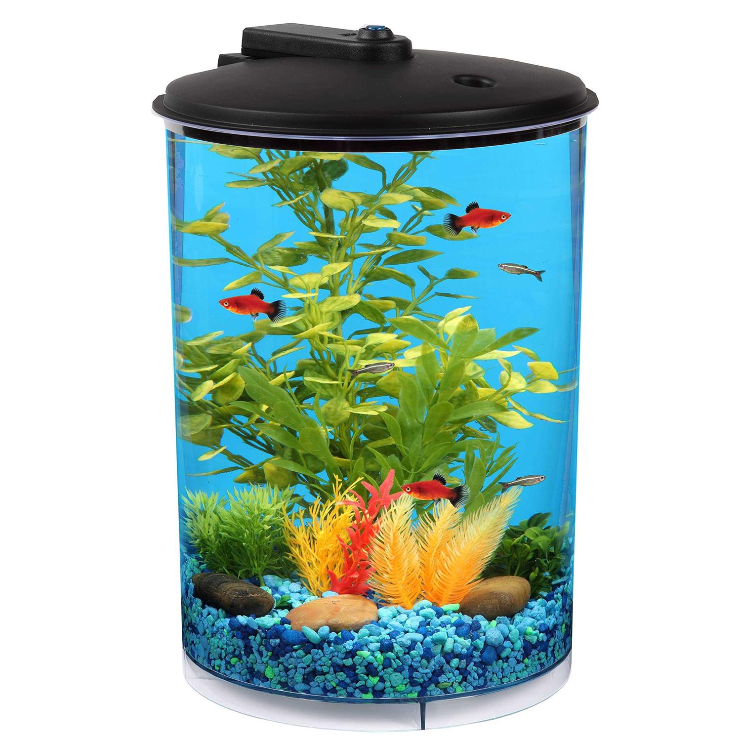 Koller Products 3-Gallon 360 Aquarium with LED Lighting and Power Filter - Healthber