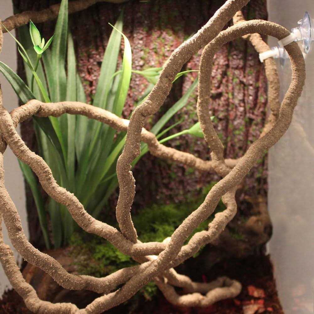EONMIR 8-Foot Reptile Vines Flexible Jungle Climber Long Vines Habitat Decor for Climbing - Healthber