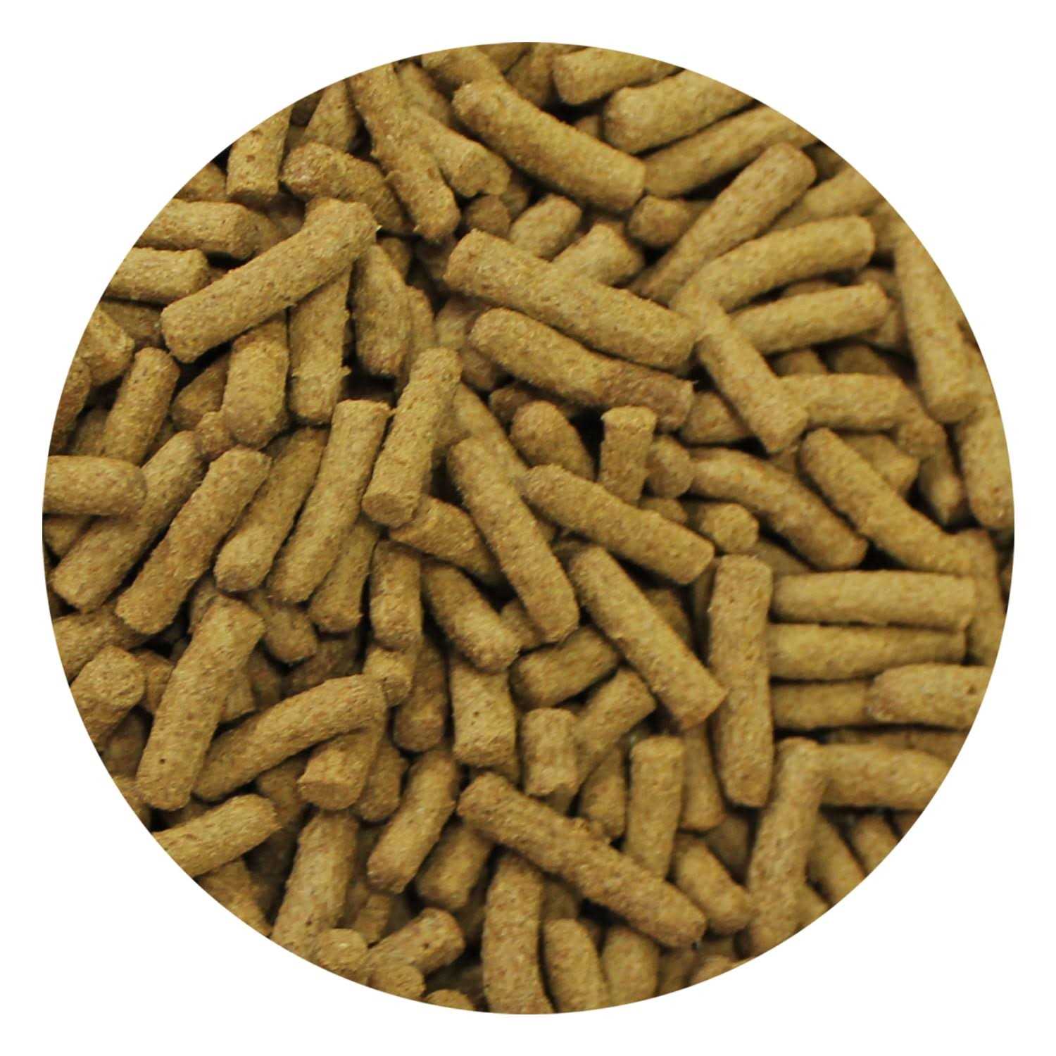 Exotic Nutrition Premium Insectivore Diet - Healthber