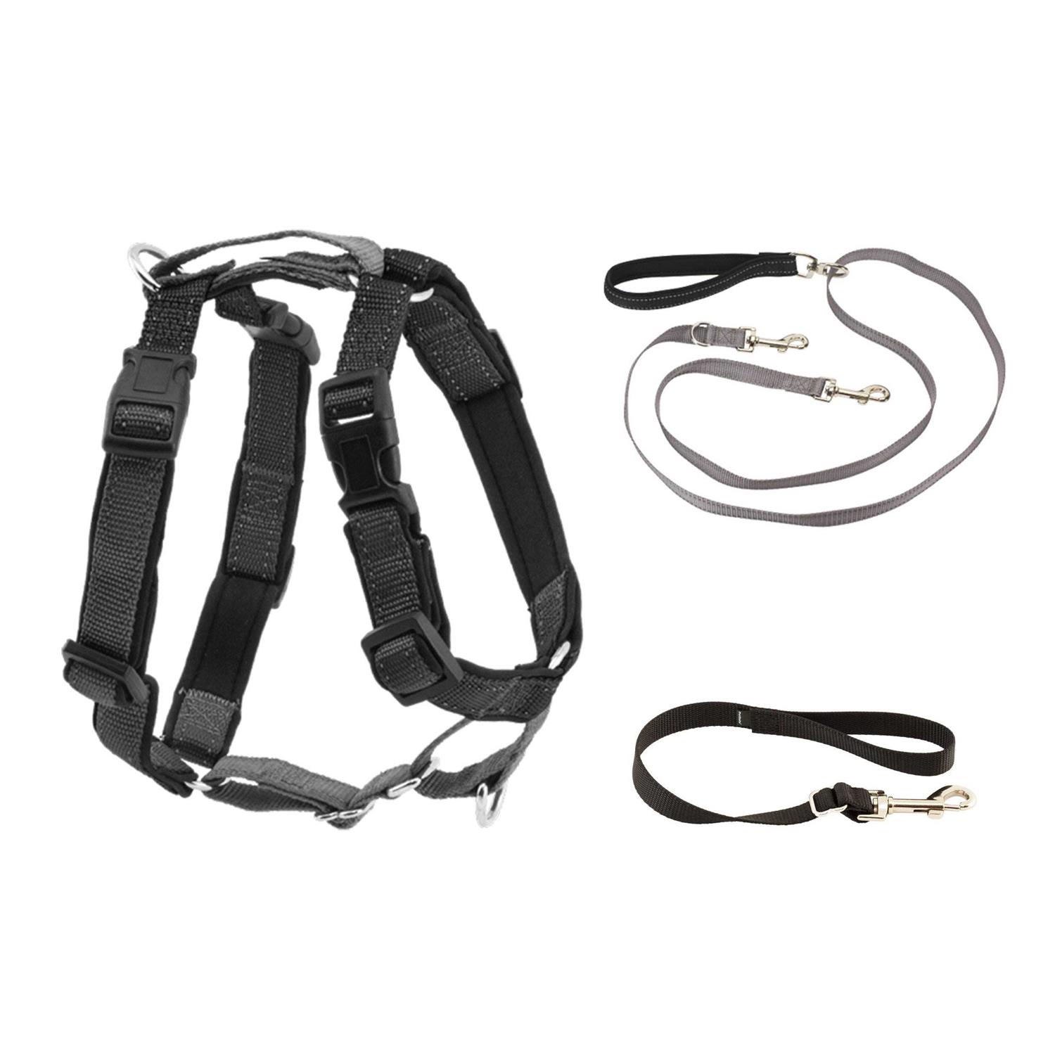 PetSafe 3 in 1 Harness with Two Point Control Leash - Healthber