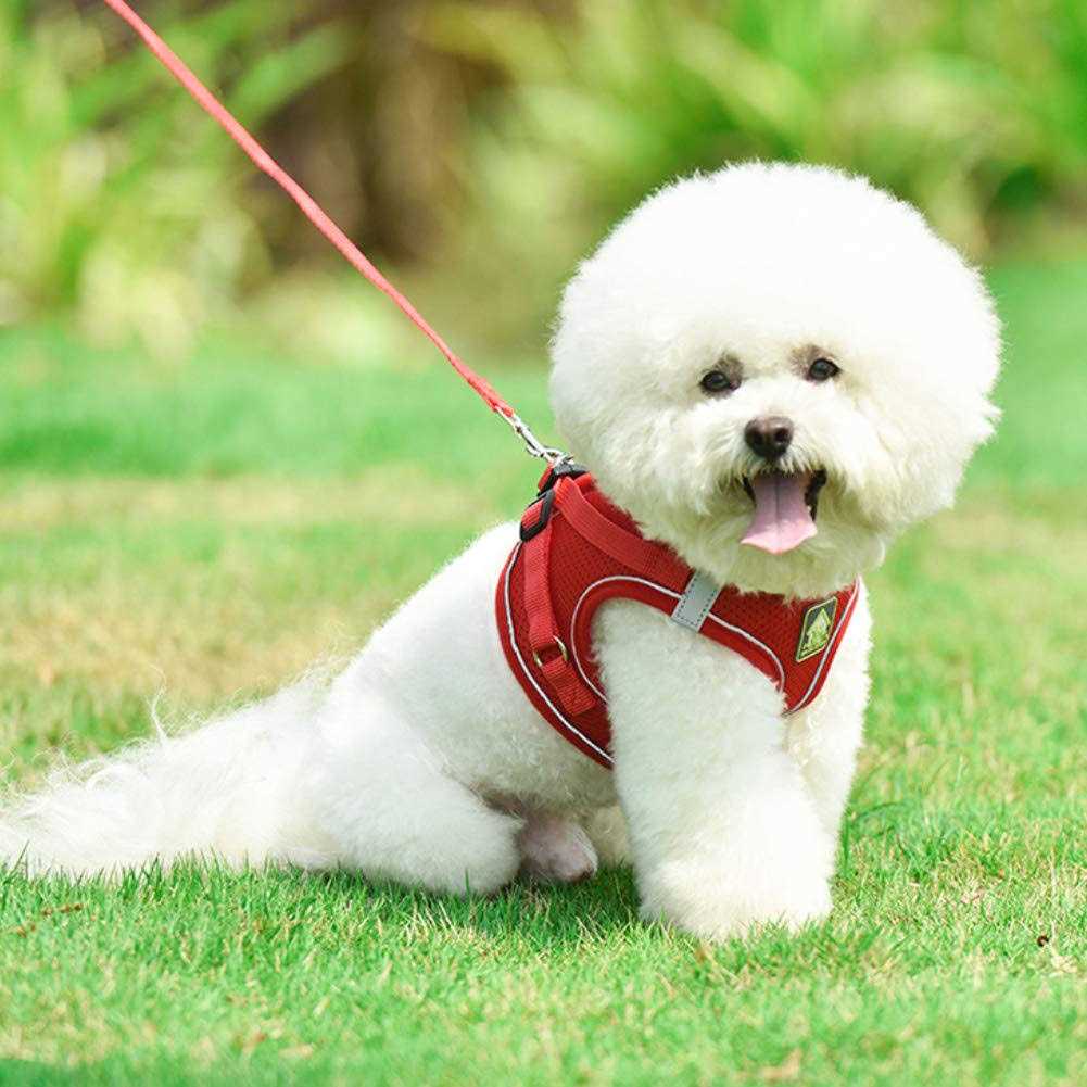 Feimax Dog Harness and Leash Set No-Pull Soft Mesh Vest Reflective Adjustable Pet Harnesses For Small - Healthber