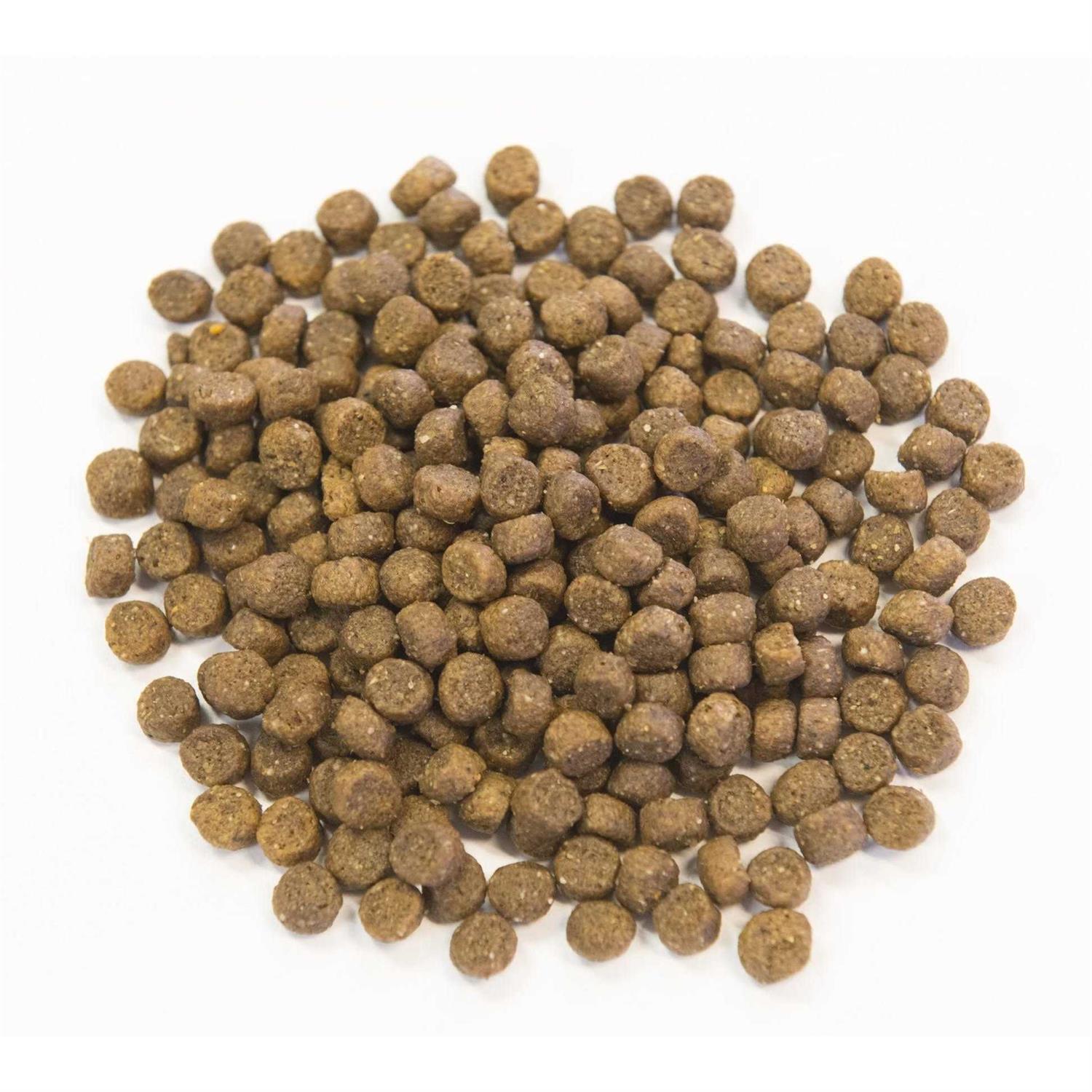 Muenster Ancient Grains with Chicken Dog Food - Healthber