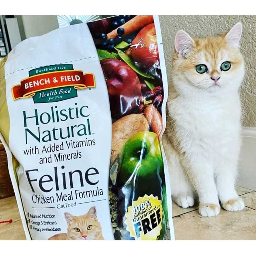 Bench & Field Holistic Natural Cat Food - Healthber