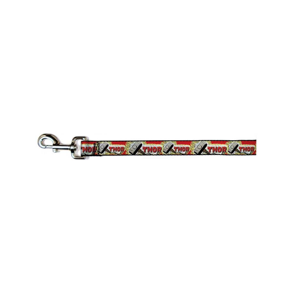 Buckle Down Dog Leash - Healthber