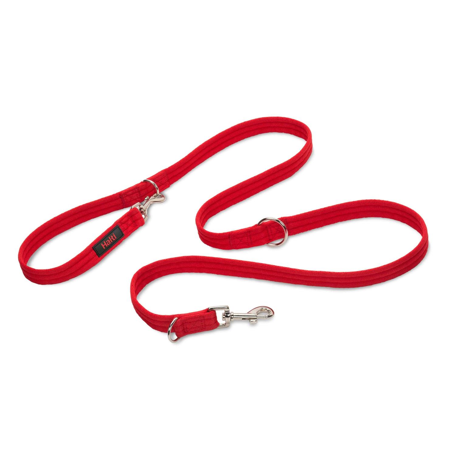 Halti Training Lead - Healthber