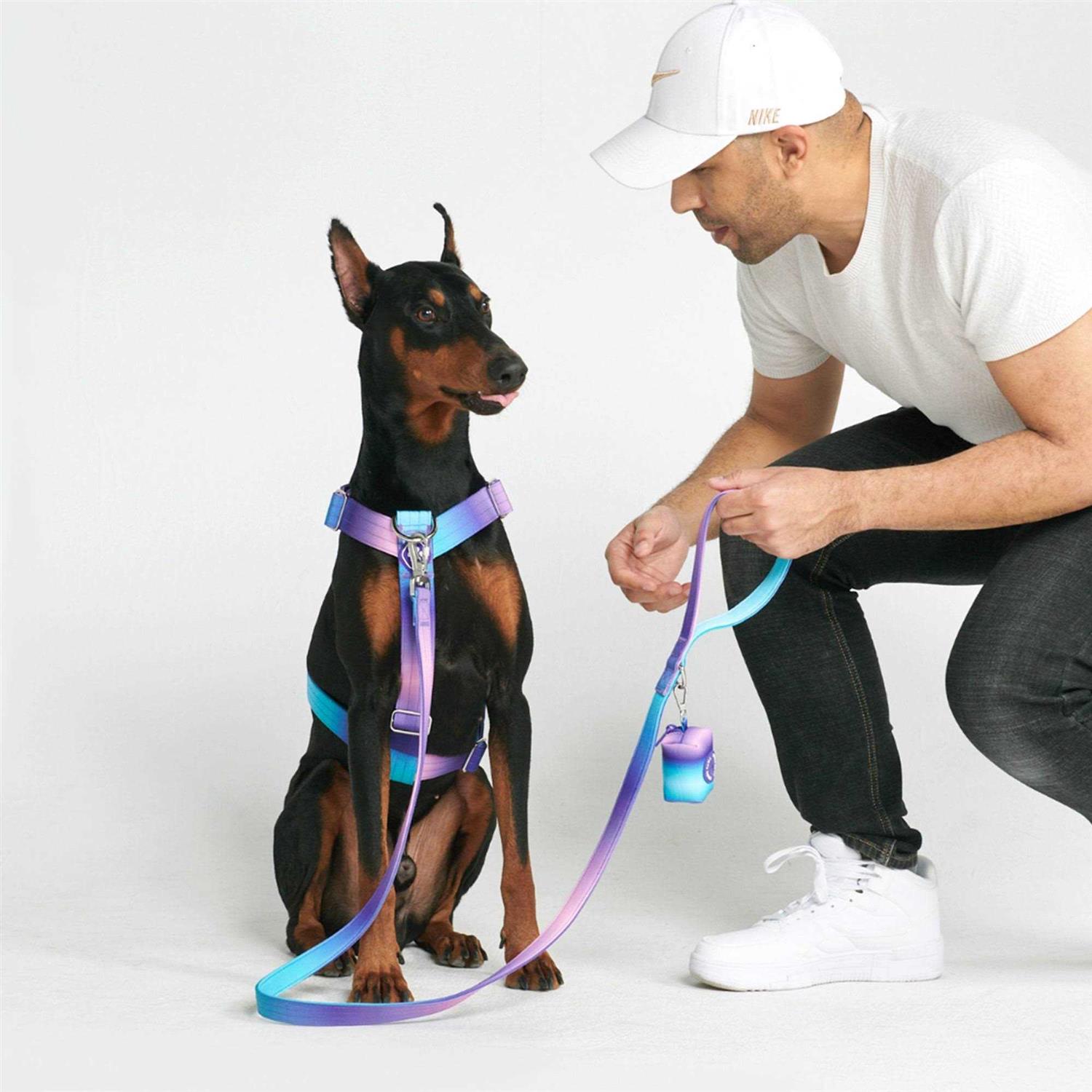 Spark Paws No-Pull Dog Harness Designed for Safety and Control - Healthber