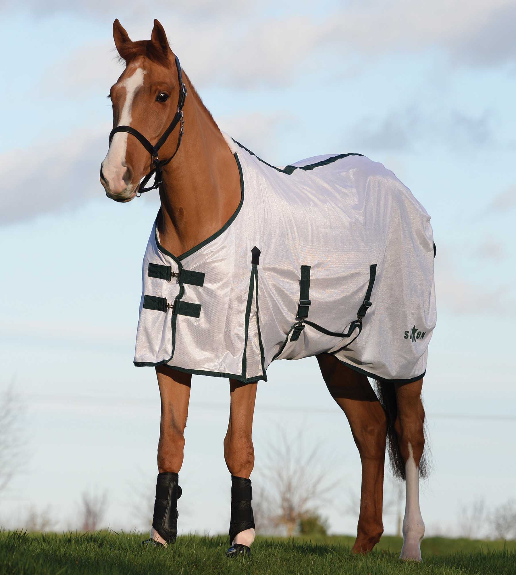 Saxon Standard Neck Mesh Horse Fly Sheet - Healthber