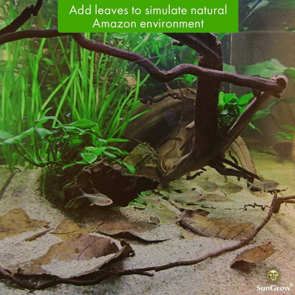 Sungrow Betta Fish Indian Almond Leaves Water Conditioner & Tank Treatment for Freshwater Aquarium - Healthber