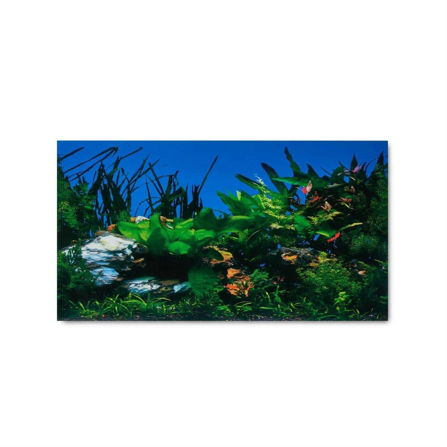 Aqua Culture Two Sided Aquarium Background - Healthber