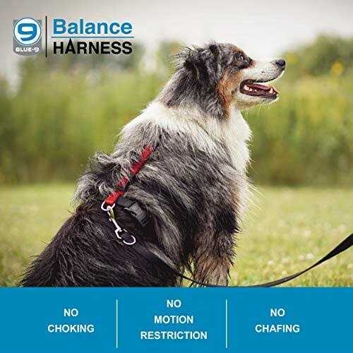 Blue-9 Buckle-Neck Balance Harness Fully Customizable Fit No-Pull Harness Ideal for Dog Training and Obedience - Healthber