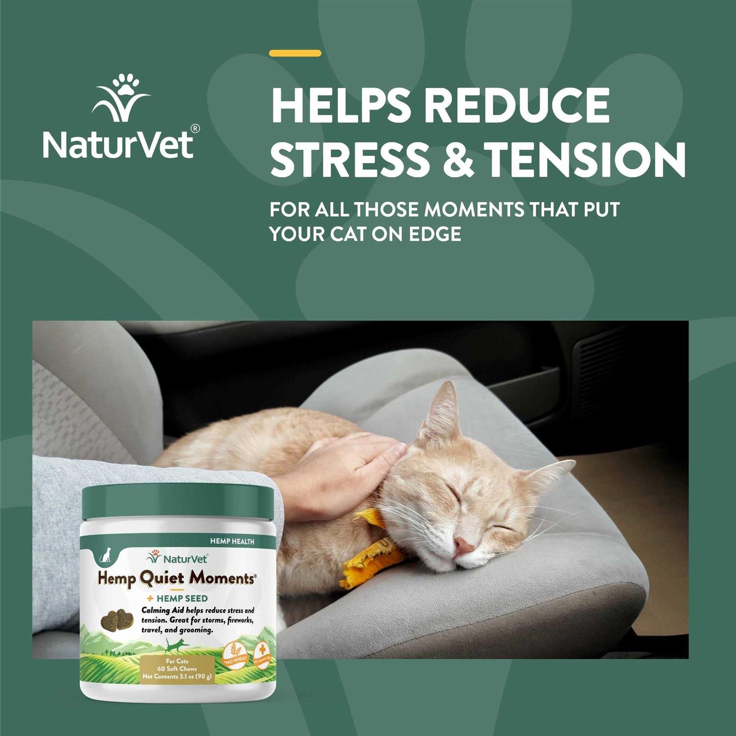 NaturVet Hemp Quiet Moments Cat Soft Chews - Healthber