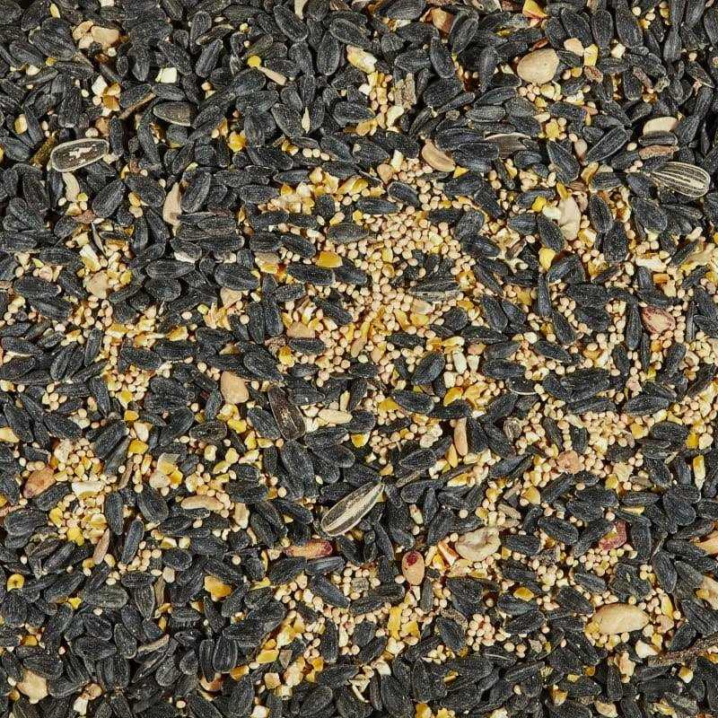 Kaytee Songbird Wild Bird Food - Healthber