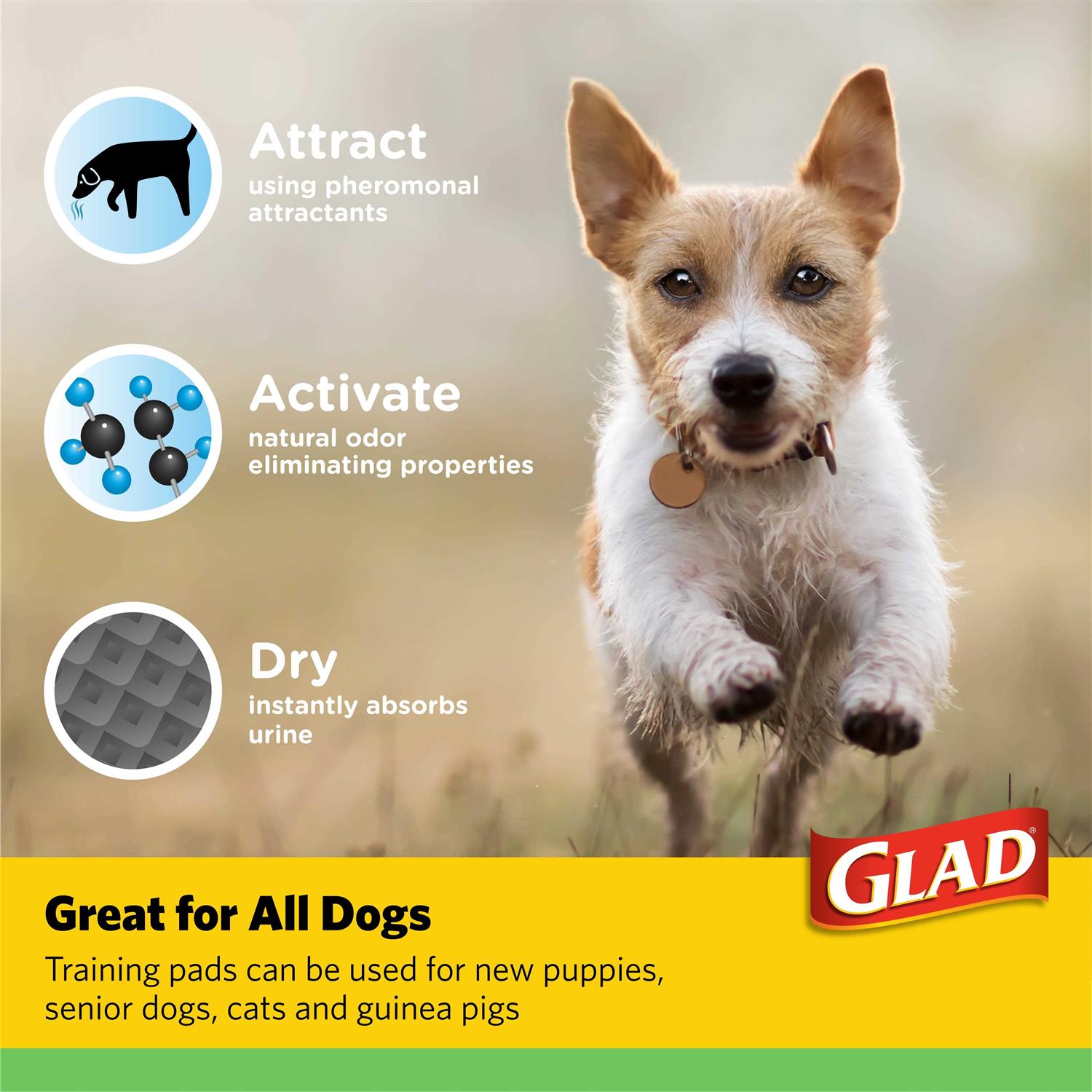 Glad for Pets Pads Training Pads - Healthber