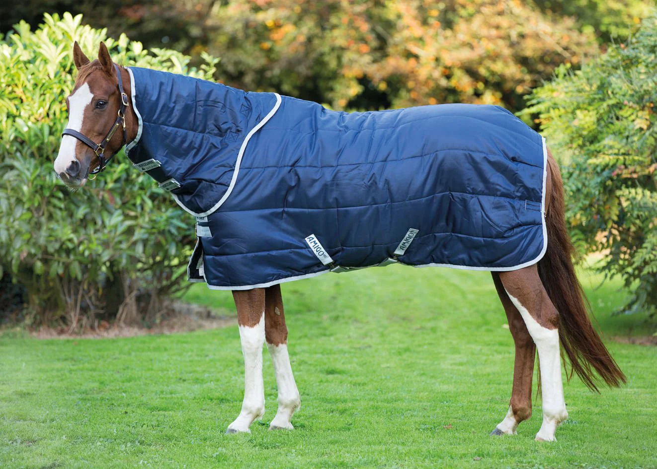 Amigo Insulator Plus Horse Stable Blanket with 200 gram fill - Healthber