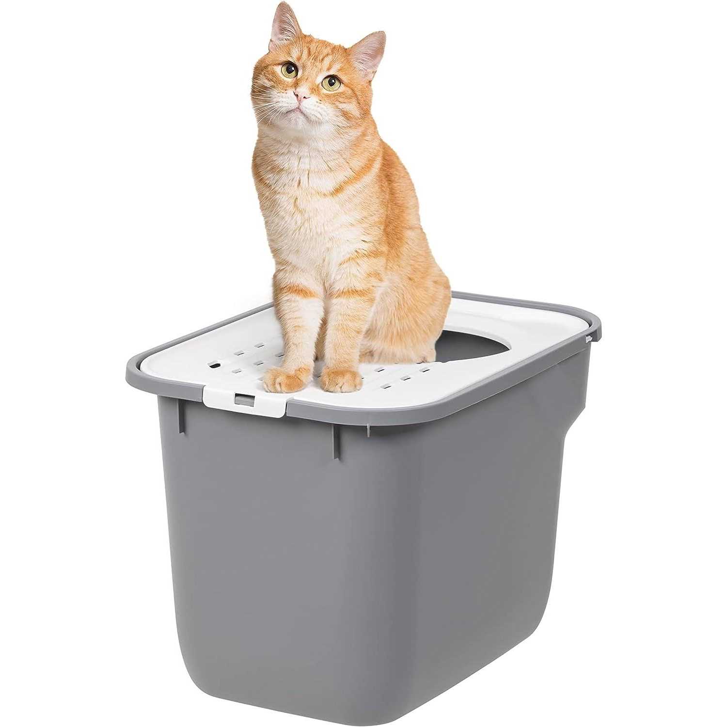 IRIS USA Top Entry Cat Litter Box - Healthber