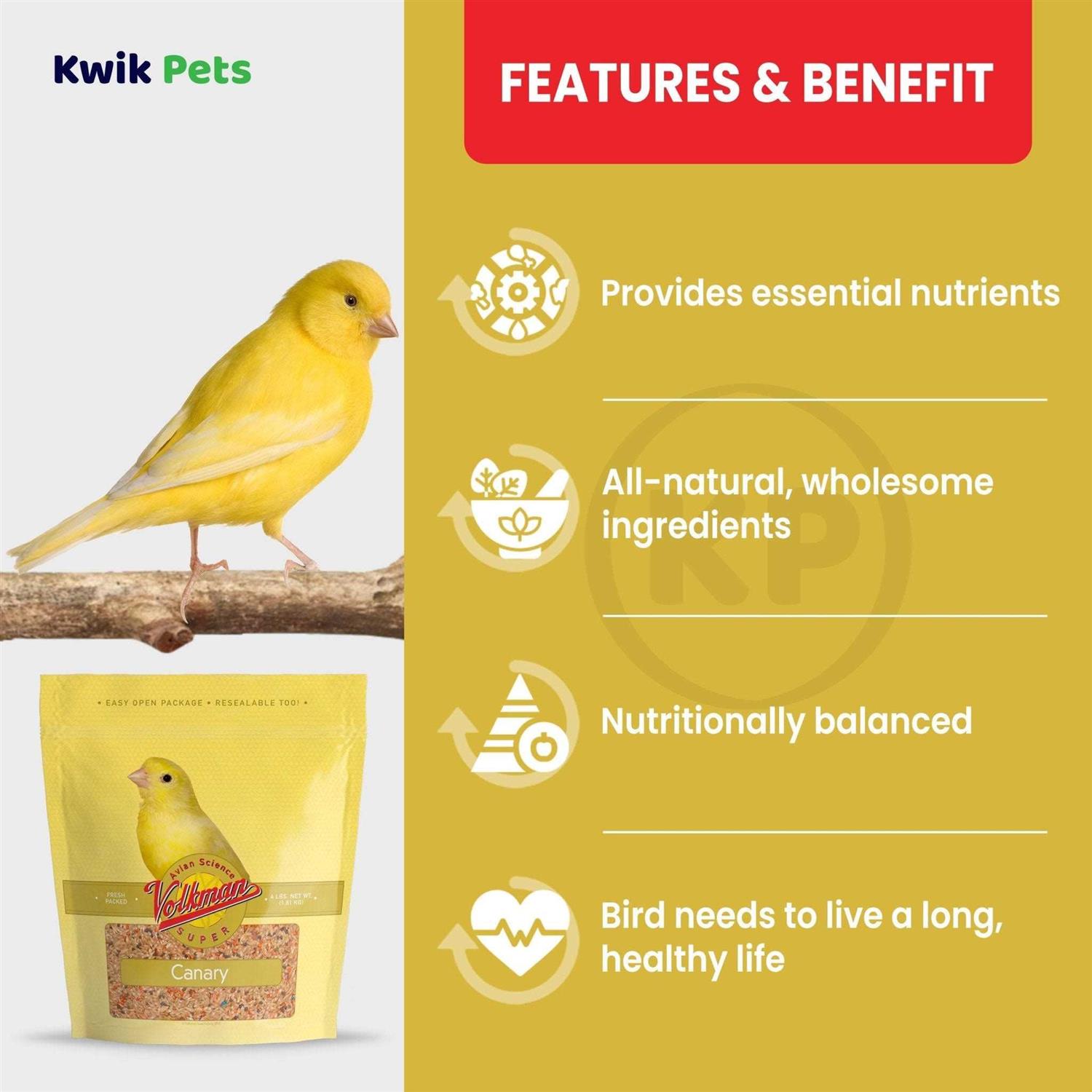 Volkman Avian Science Super Canary Seed - Healthber