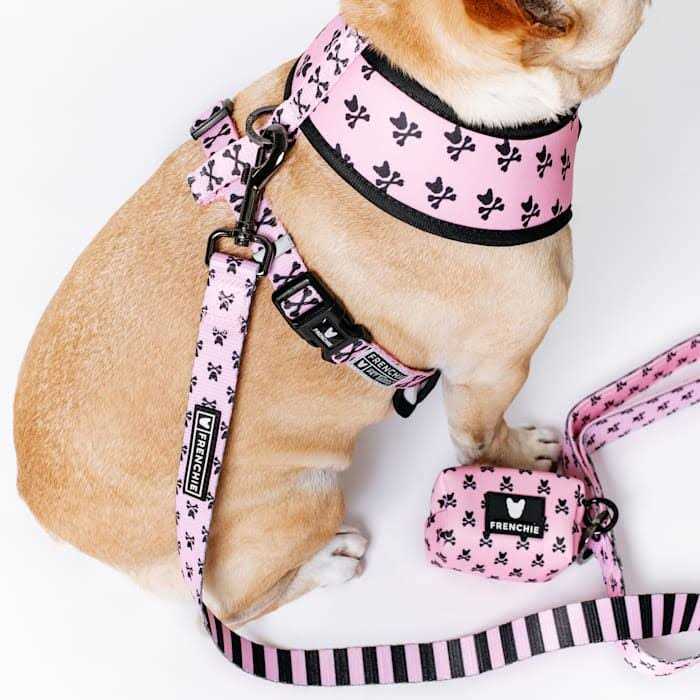 Frenchie Duo Reversible Harness - Healthber