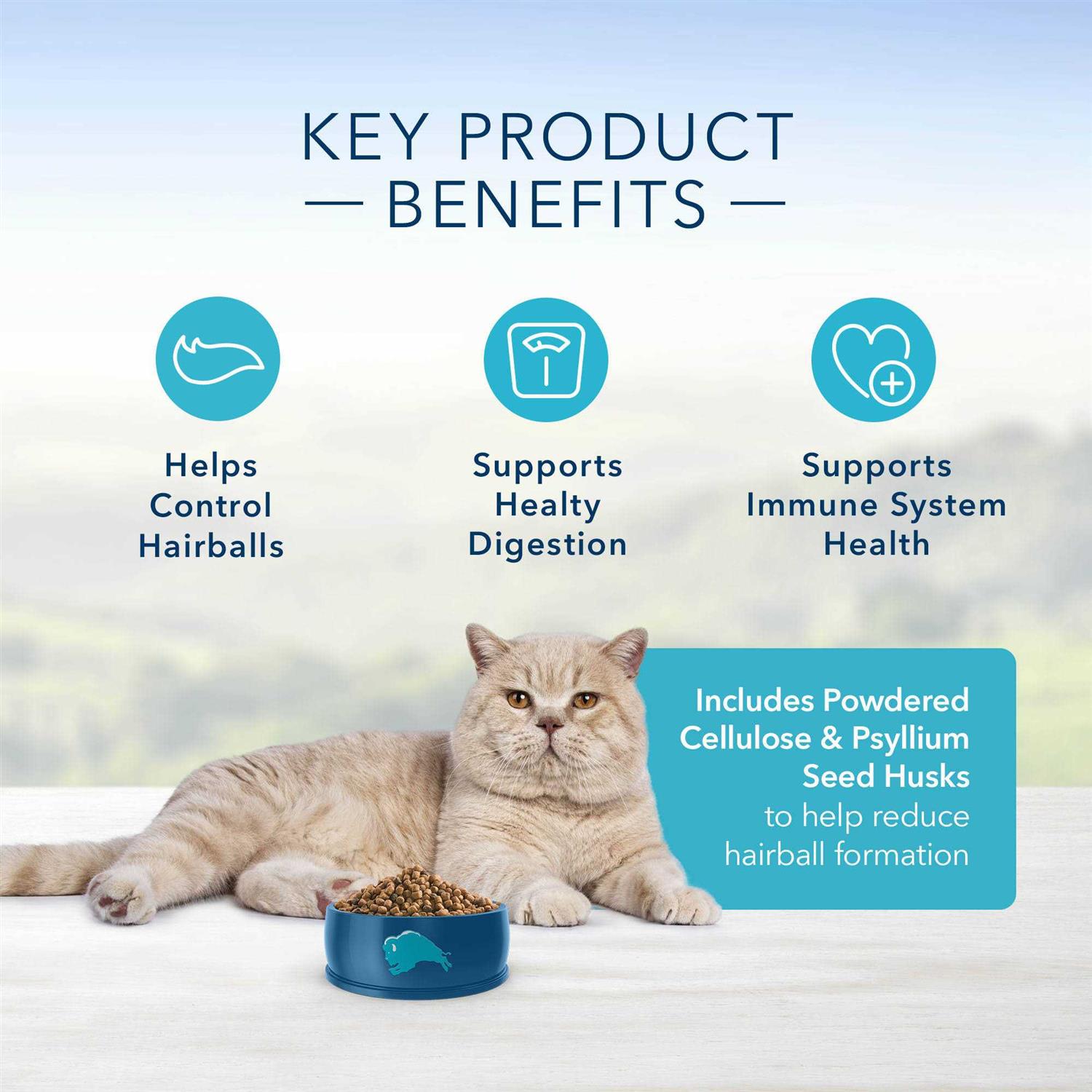 Blue Indoor Hairball Control Adult Dry Cat Food - Healthber