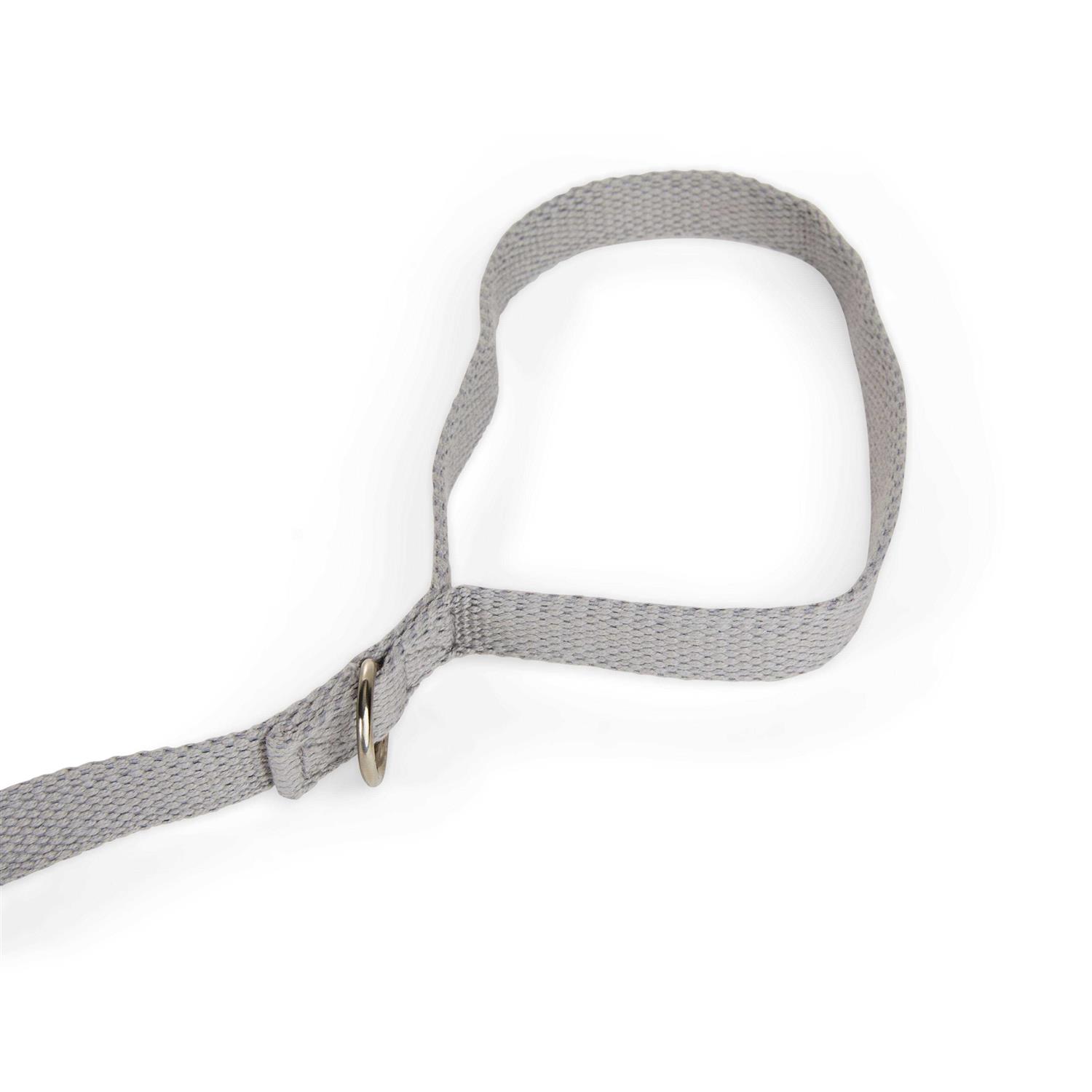EveryYay Settin’ the Pace Adjustable Recall Training 5/8 Dog Lead - Healthber