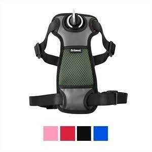 Frisco Padded Nylon No Pull Dog Harness - Healthber