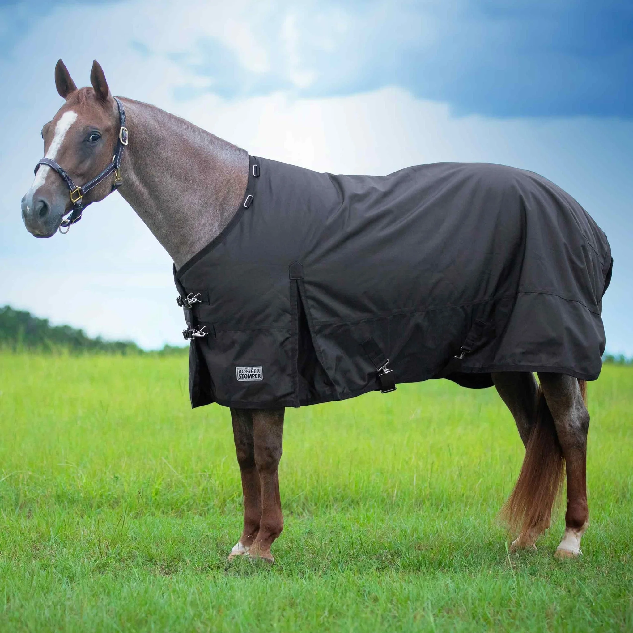 Romper Stomper Light Weight Horse Turnout Blanket,  1680D, 180g Fill, Brown - Healthber