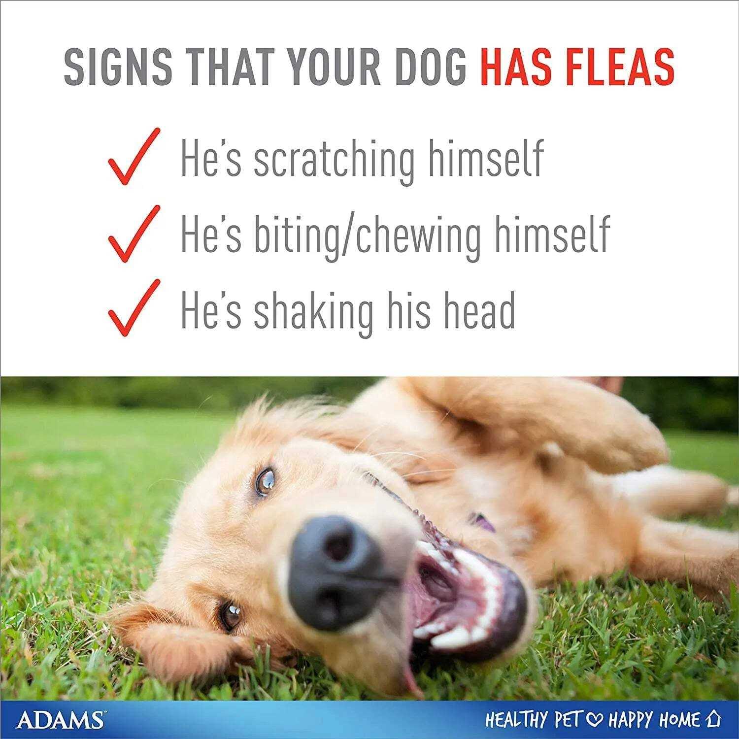 Adams Flea & Tick Plus Collar for Dogs - Healthber