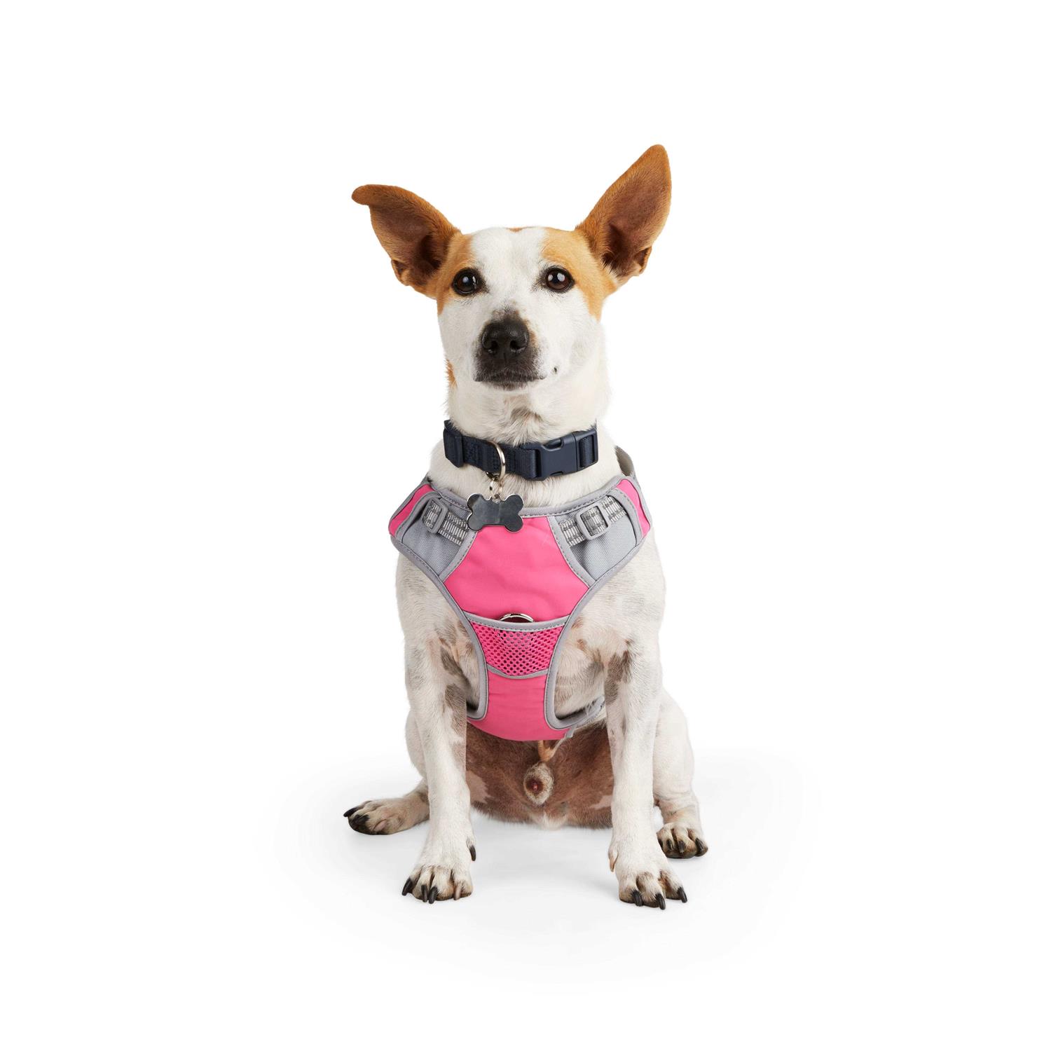 EveryYay Embrace The Pace Reflective Dog Harness - Healthber