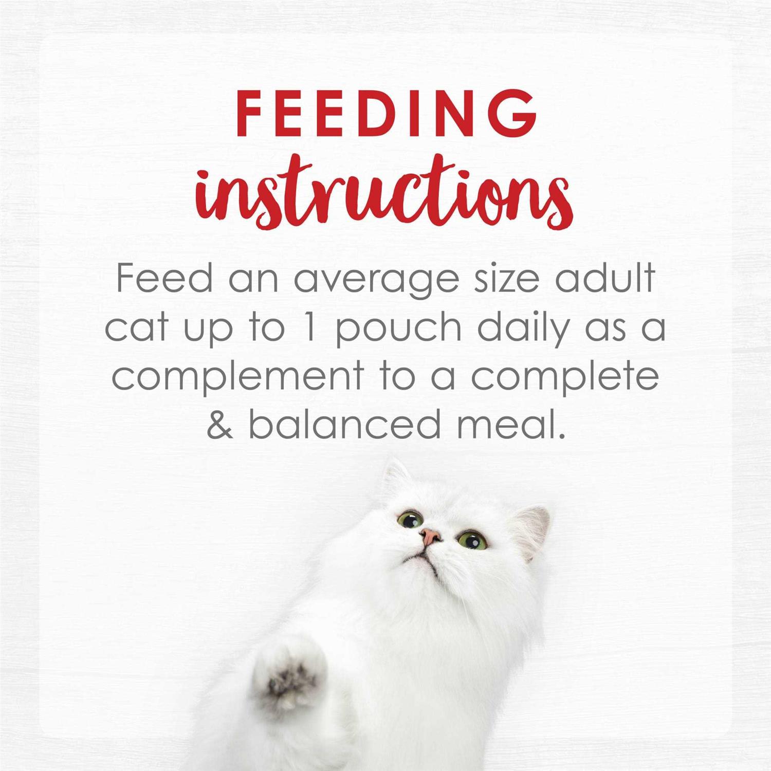 Fancy Feast Broths Creamy Wet Cat Food - Healthber