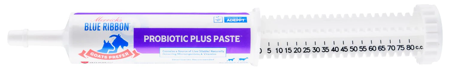 Goats Prefer Probiotic Plus Paste, 80 cc - Healthber