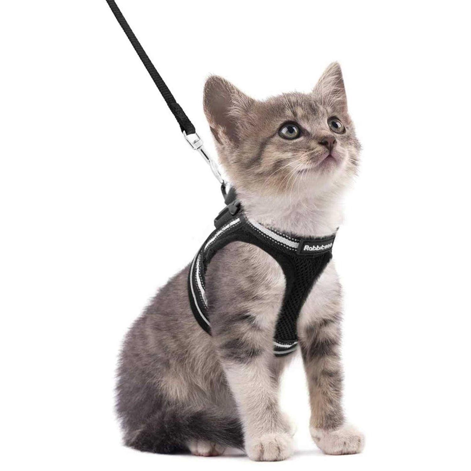 Rabbitgoo Cat Harness and Leash for Walking Escape Proof Soft Adjustable Vest Harnesses for Cats - Healthber