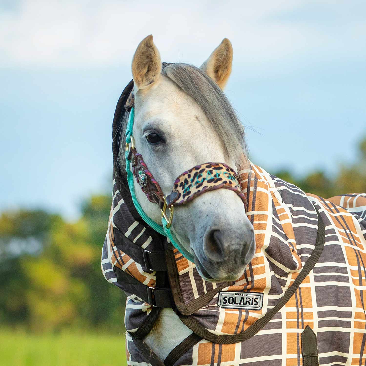 Pony Poppins Solaris Horse Neck Rug, 1200 Denier / 240g Fill, Brown & Cream Plaid - Healthber