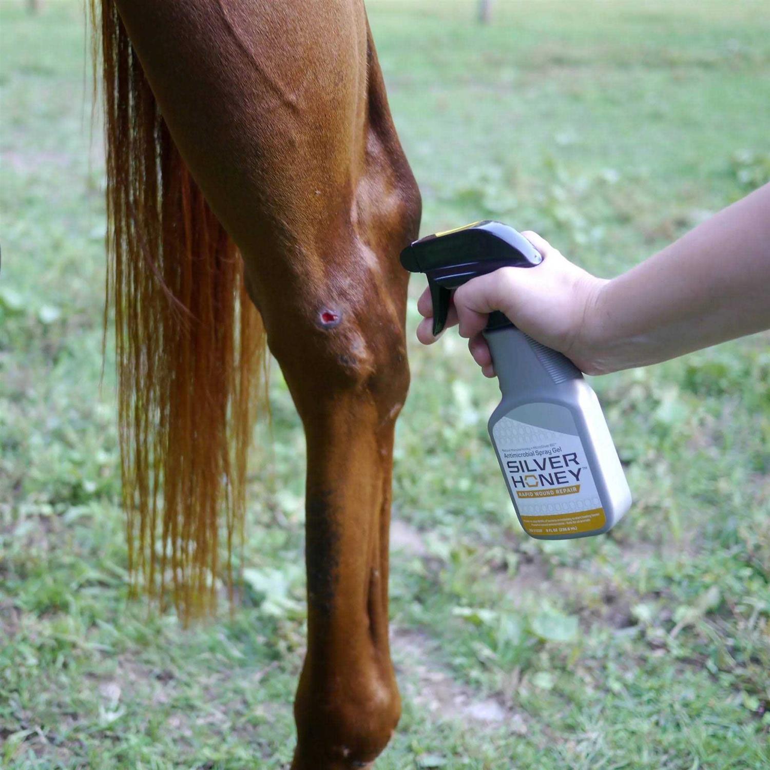 Silver Honey Hot Spot & Wound Care Spray Gel - Healthber