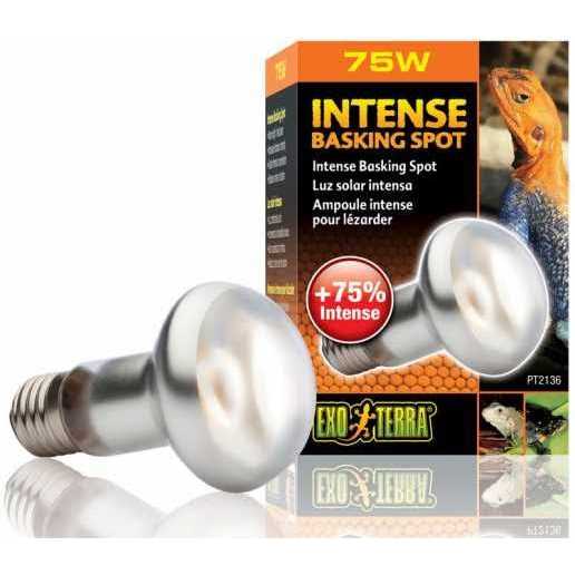 Exo Terra Intense Basking Spot - Healthber