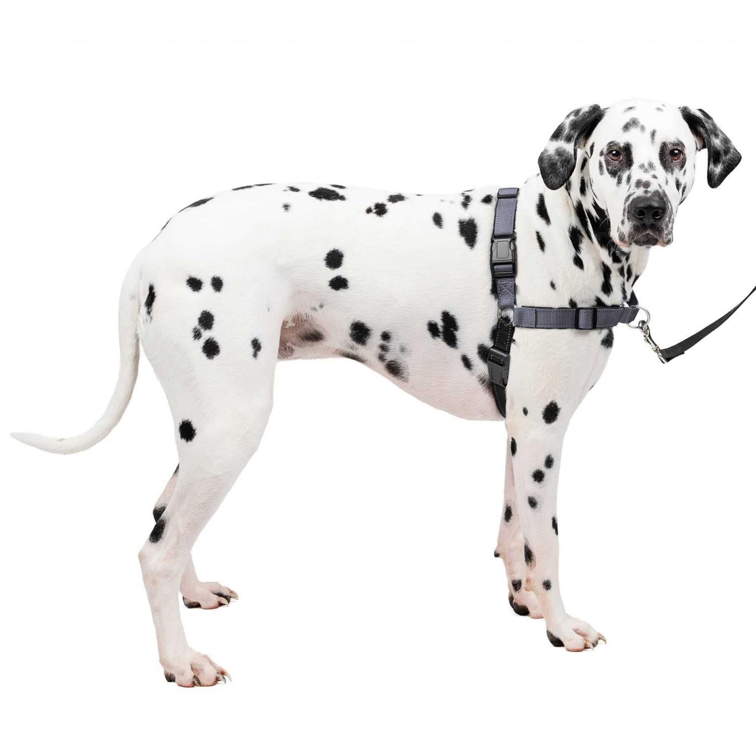 PETSAFE Easy Walk Harness - Healthber