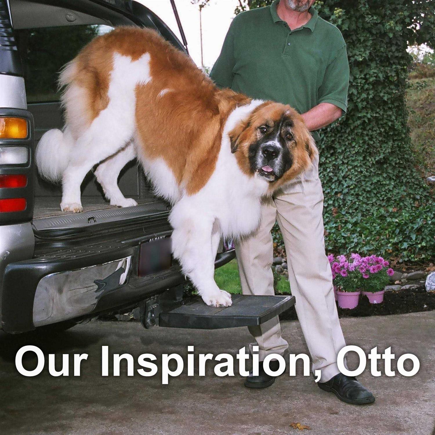 Otto Step Car Pet Ramp Pet Step - Healthber