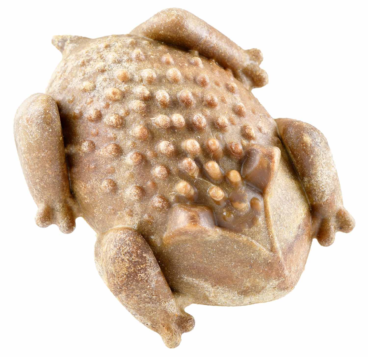 RedBarn Chew-A-Bulls Horned Toad Natural Dental Treat - Healthber