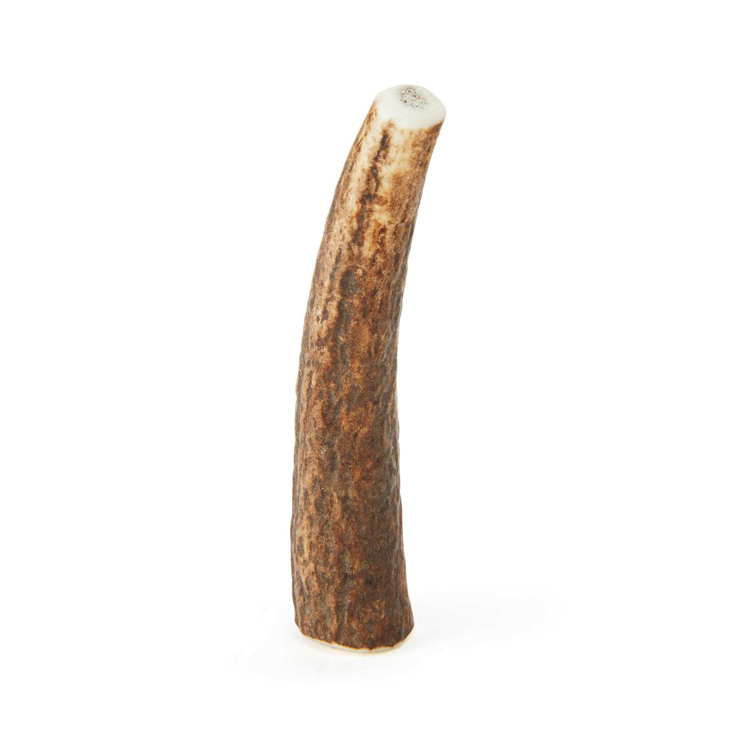 Good Lovin’ Whole Elk Antler Dog Chew - Healthber