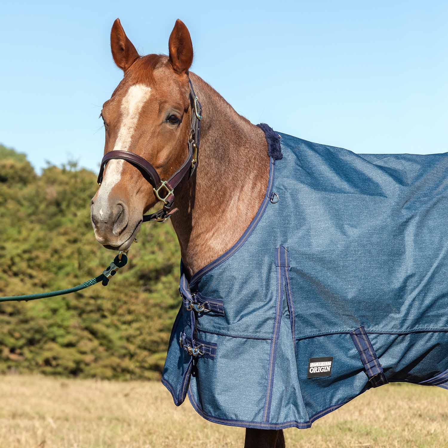 Poplar Head Origin 600 Denier Turnout Blanket, 240 Gram, Blue Jean Baby - Healthber