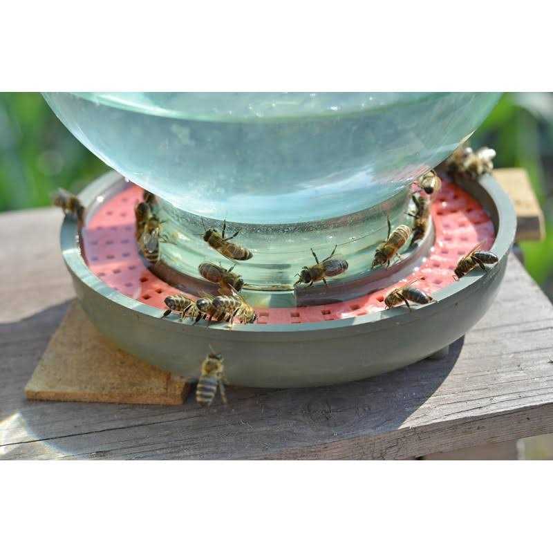 ZAVHOZ Bees Feeding Bowl Bee Feeder Hive Water Drinker Sugar Syrup Drinking Dispenser Tool Plastic Mesh Dish Beehive Apiary Accessory Beekeeping - Healthber