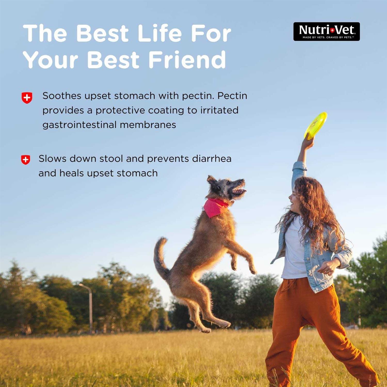 Nutri-Vet Anti-Diarrhea Liquid - Healthber