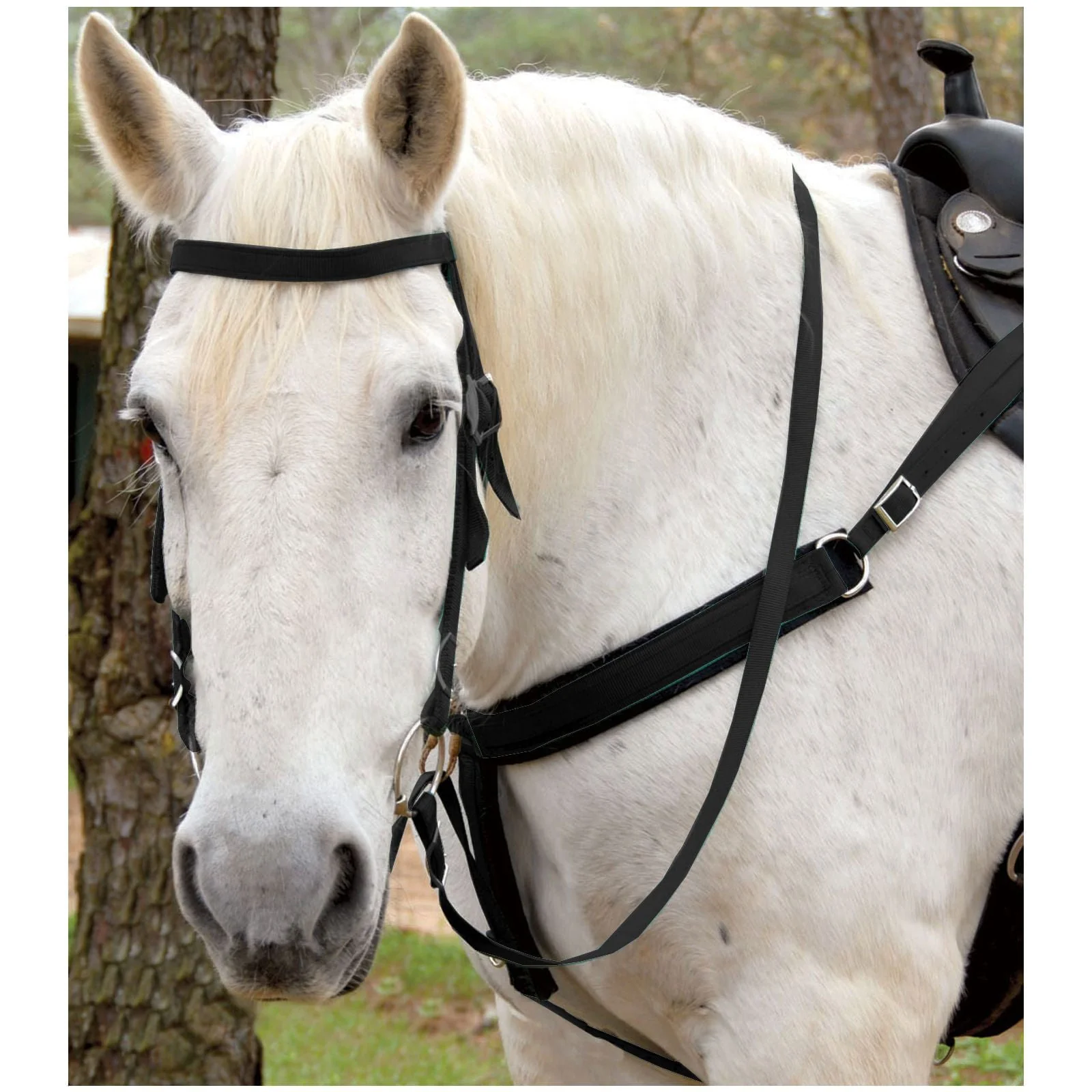 Triple E Nylon Draft Horse Bridle w/ Bit & Reins - Healthber