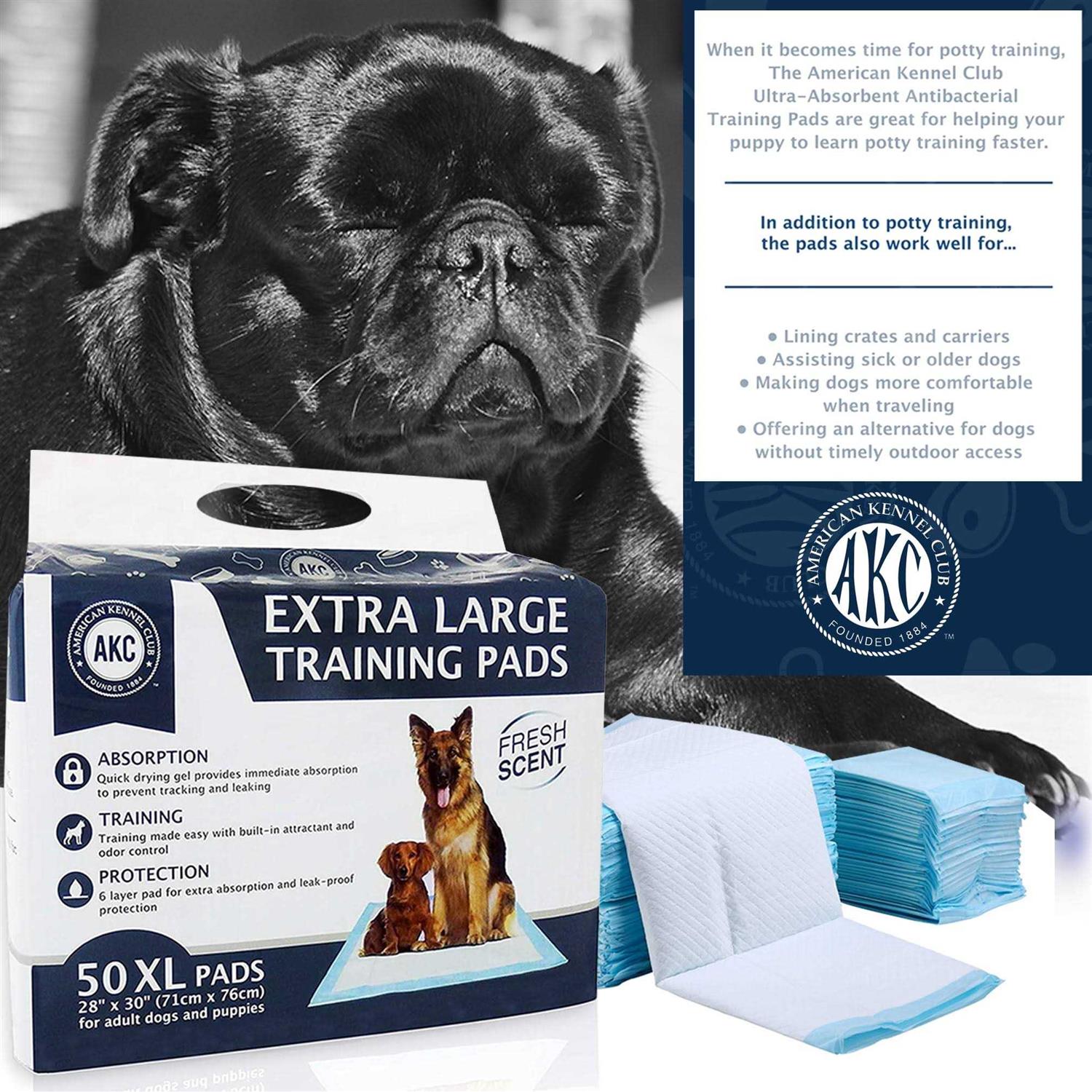 American Kennel Club Training Pads - Healthber