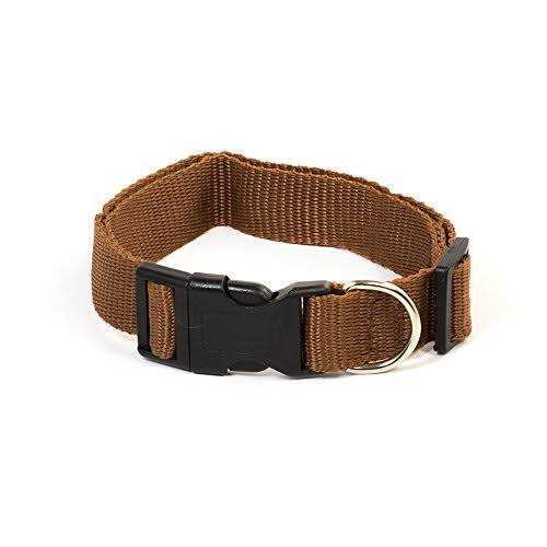 Pet Champion Collar - Healthber