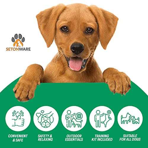 Setonware Puppy Starter Kit Dog Toys Dog Bed Blankets Puppy Dog Grooming Tool - Healthber