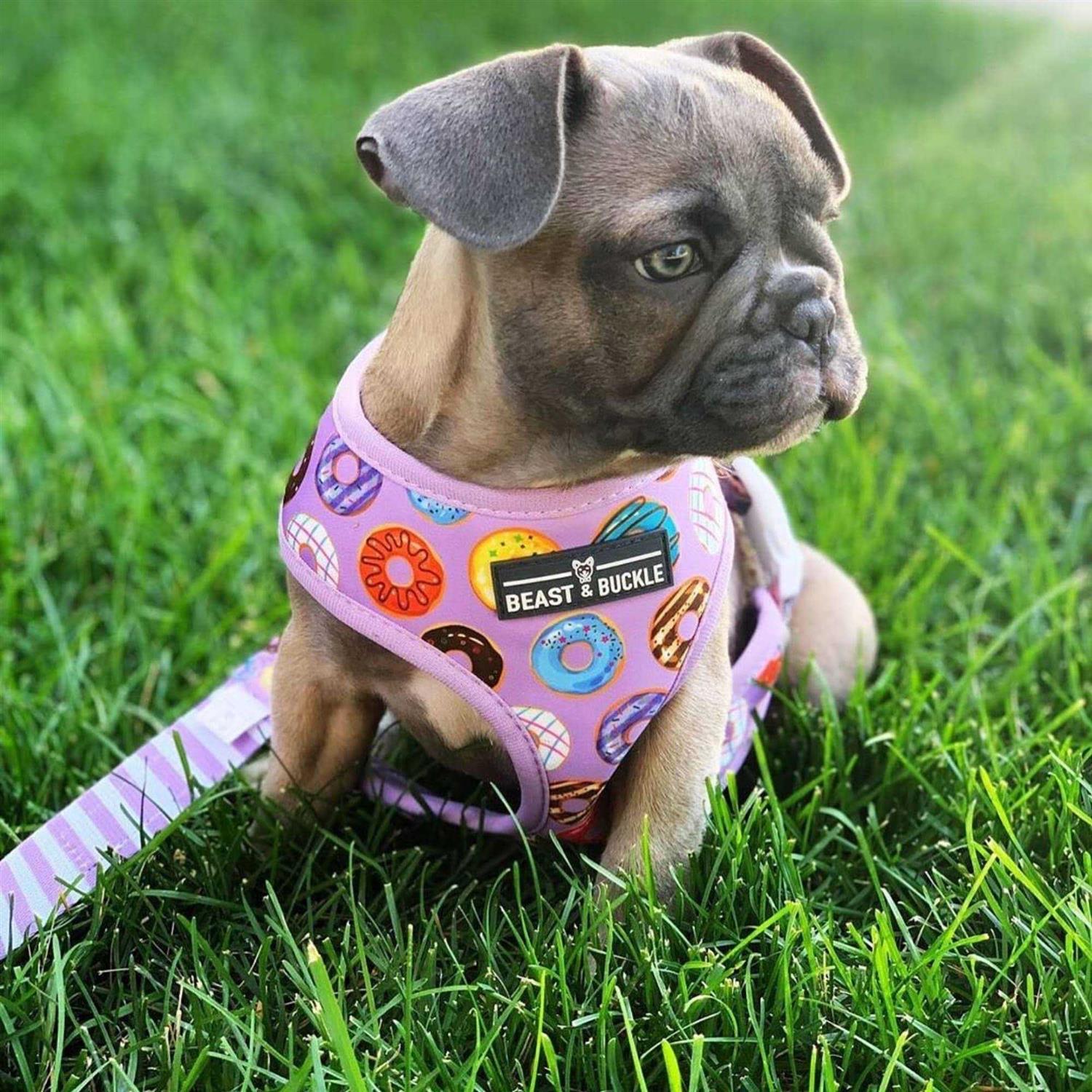 Beast & Buckle Reversible Dog Harness - Healthber