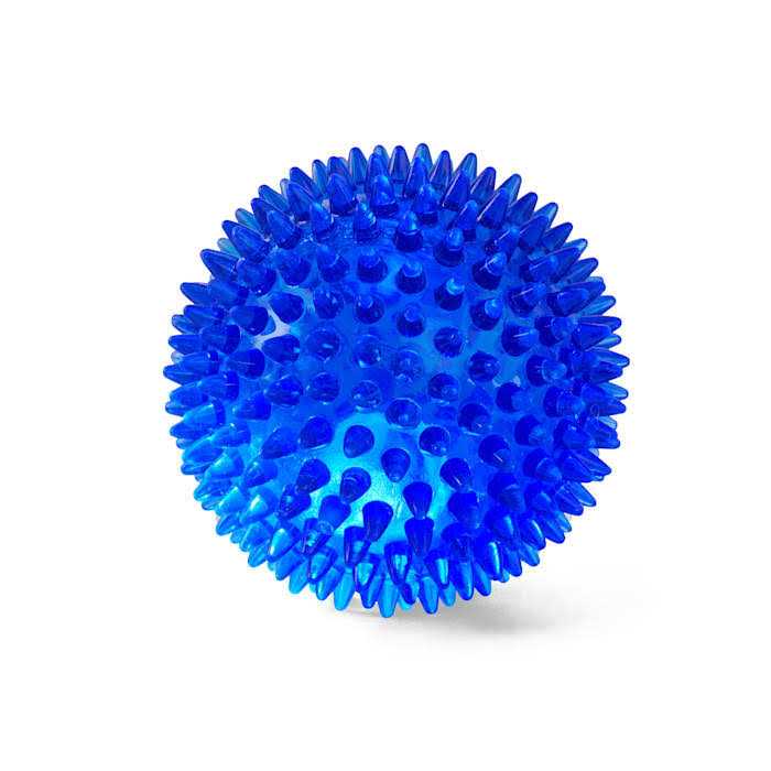 Leaps & Bounds Spiny Ball Dog Chew Toy - Healthber