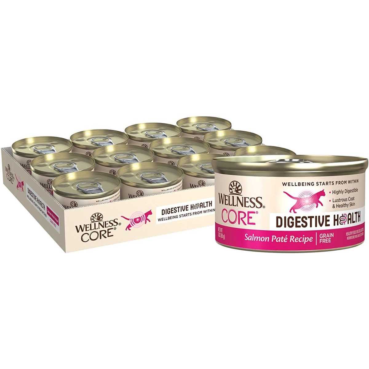 Wellness Core Digestive Health Pate Recipe Wet Cat Food - Healthber