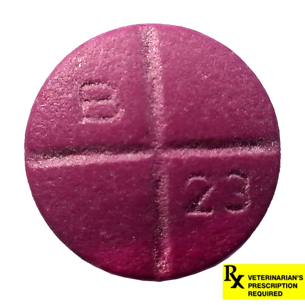 Rx Baytril (enrofloxacin) Coated Tablets for Cats & Dogs - Healthber